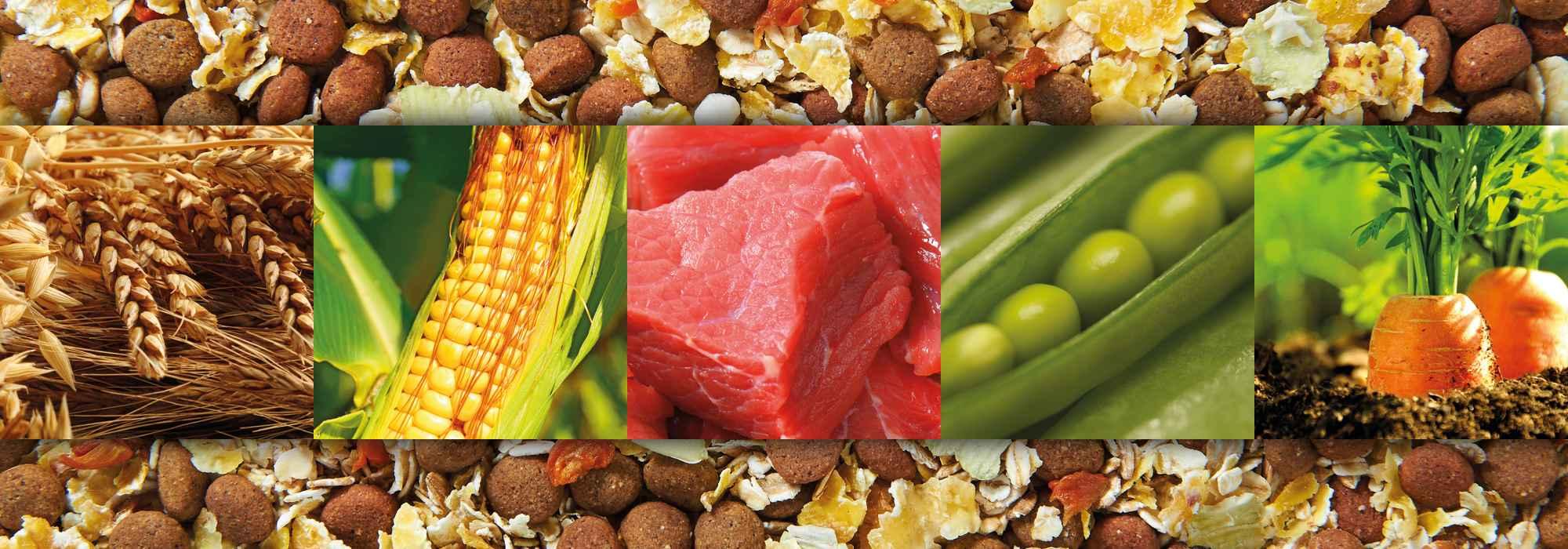 Nebeneinander frische Futtersorten aus Fleisch und Gemüse